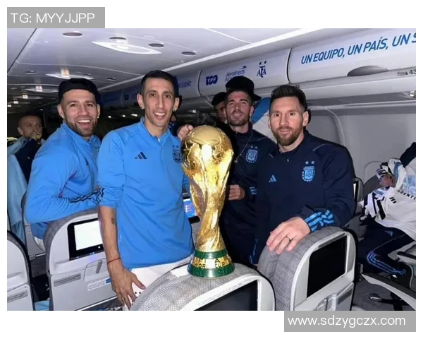 足球明星的级别划分与影响力分析探讨