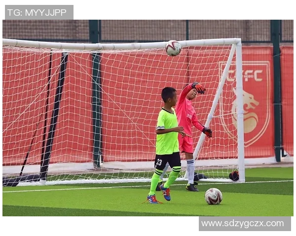 河北体育之星榜单揭晓十大明星运动员风采一览