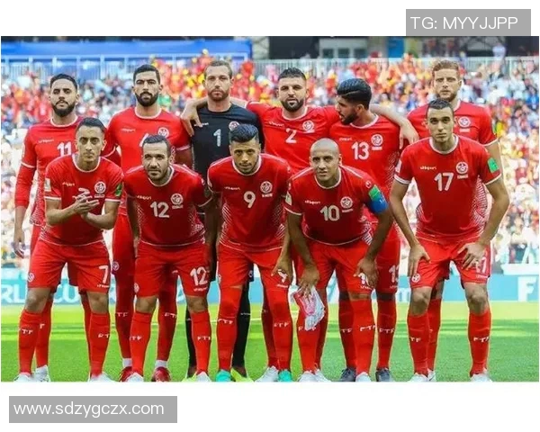 丹麦与突尼斯足球明星阵容对比分析及球员表现评估