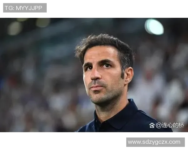 足球明星的魅力究竟源于外貌还是才华他们真的都那么帅吗