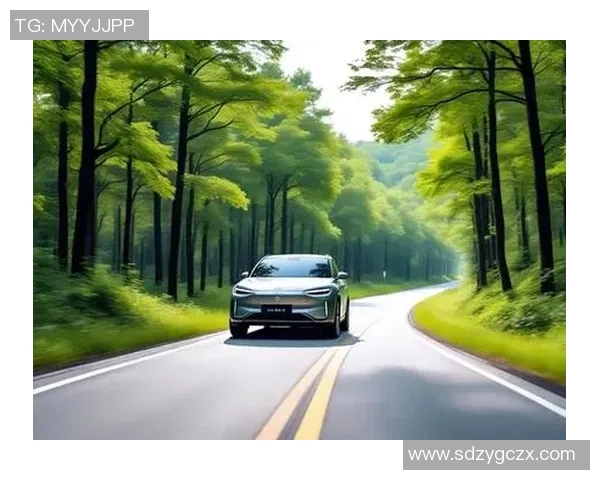 巴西足球明星倾心选择比亚迪汽车展现绿色出行新风尚