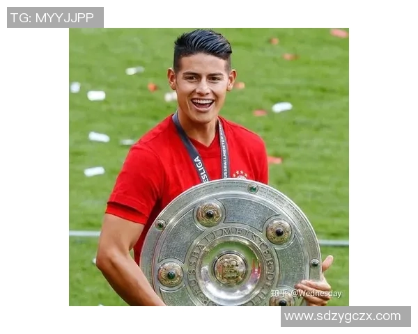 足球明星维克利的个人经历与成就全方位解析