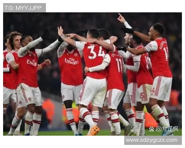 卡迪夫城与纽卡斯尔联的激烈对决谁能笑到最后