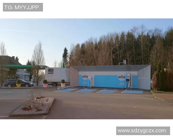 德国与斯洛伐克比赛分析大小球走势及投注建议